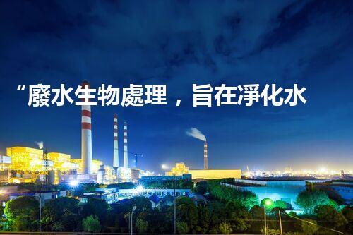 “廢水生物處理，旨在凈化水源，守護(hù)碧水藍(lán)天”